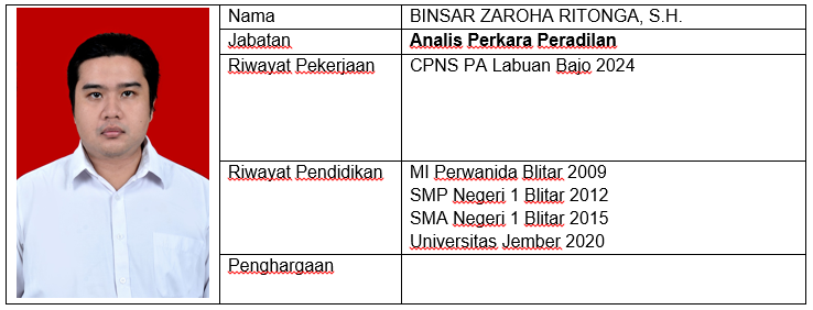 cpns binsar